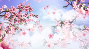 粉色桃花盛开花瓣飘落(有音乐)视频素材