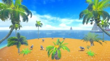 大海椰树船海滩沙滩海鸥视频素材