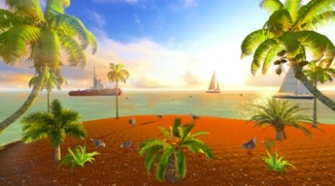 大海椰树船海滩沙滩海鸥视频素材