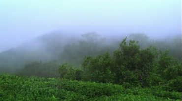 山间山脚山谷突起大雾云雾缭绕视频素材