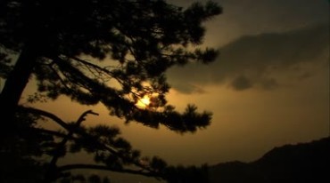 庐山风景区大自然风光视频素材