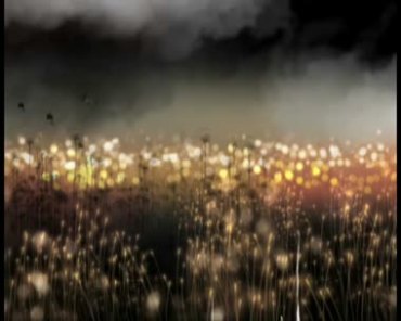 梦魇恶梦噩梦黑色花朵萤火虫诡异气氛梦境视频素材
