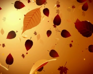 树叶空中漂浮洒落动态背景视频素材