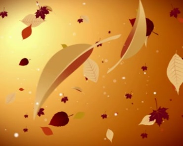 红色叶子树叶漂浮动态背景视频素材