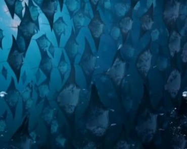 唯美海底生物发光水母海马蝙蝠鱼视频素材