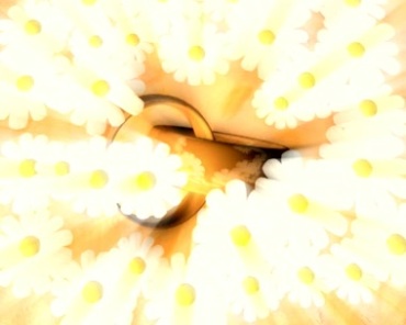 花朵花瓣拨开求婚戒指对戒爱情视频素材