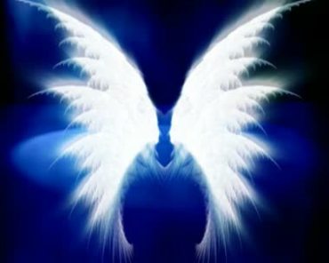天使白色羽毛翅膀扇动视频素材