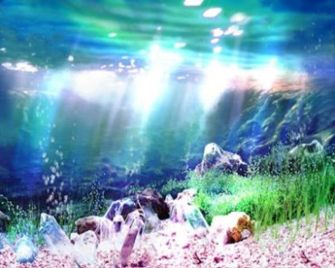 海底世界水族箱造景气泡视频素材