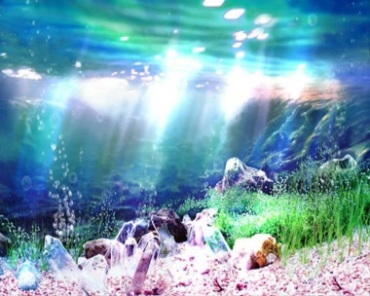 海底世界水族箱造景气泡视频素材