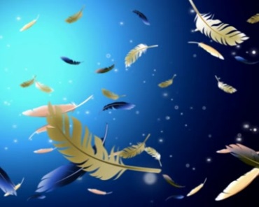 羽毛空中漂浮动态粒子背景视频素材