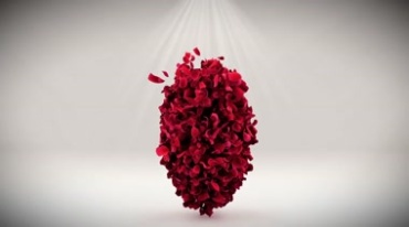 红色花瓣桃心玫瑰花爱心花瓣组成心型形状视频素材