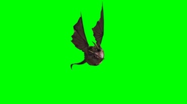飞行的丑怪物绿屏抠像影视特效视频素材