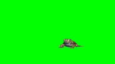 青蛙跳动跳跃绿幕抠像特效视频素材
