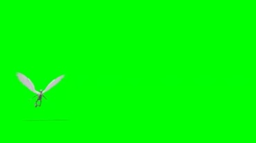 飞行骷髅万圣节绿屏抠像特效视频素材