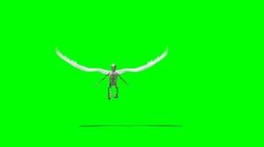 飞行骷髅万圣节绿屏抠像特效视频素材