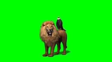 鹰坐在狮子后背上绿幕免抠像影视特效视频素材