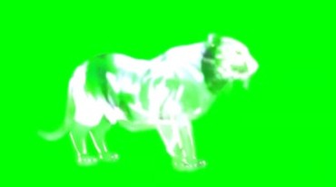 幽灵狮子猛兽咆哮透明影像绿屏抠像特效视频素材