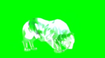 幽灵狮子猛兽咆哮透明影像绿屏抠像特效视频素材