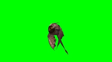 独眼怪物呼扇翅膀飞行绿幕抠像特效视频素材
