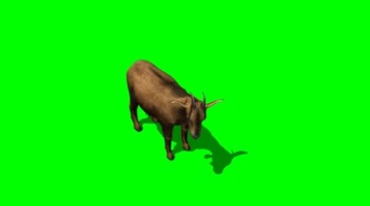 山羊绿布免抠像特效视频素材