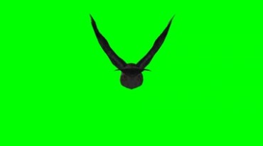 猫头鹰呼扇翅膀滑翔飞行绿幕免抠像特效视频素材