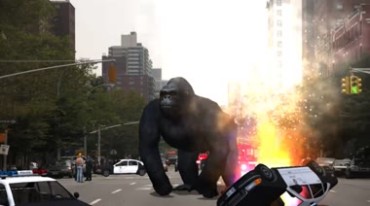金刚猩猩在闹市区街道怒吼发威视频素材