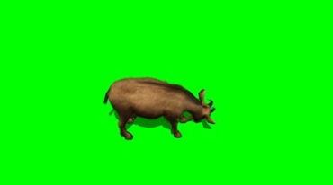 山羊吃草绿屏免抠像特效视频素材