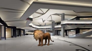 雄狮闯到空荡荡的商场大厅视频素材