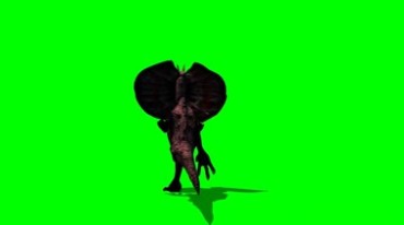 斗篷蜥蜴伞蜥奔跑绿幕免抠像影视特效视频素材