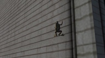 青蛙爬到楼顶跳下自杀视频素材