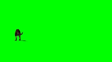 霸王龙从身边走过绿幕免抠像影视特效视频素材
