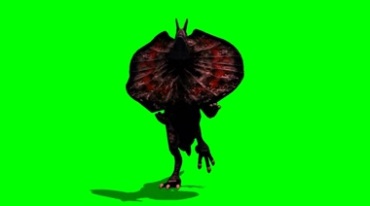 伞蜥斗篷蜥奔跑绿幕免抠像影视特效视频素材