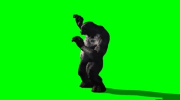 巨型黑猩猩害怕惧怕表情绿幕免抠像影视特效视频素材