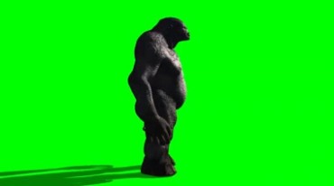 巨魔黑猩猩大金刚摇头摆手否认绿幕抠像特效视频素材