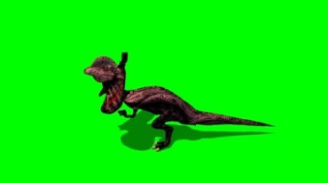 猛禽恐龙蜥蜴奔跑绿幕免抠像影视特效视频素材