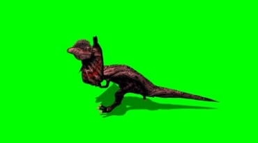 猛禽恐龙蜥蜴奔跑绿幕免抠像影视特效视频素材