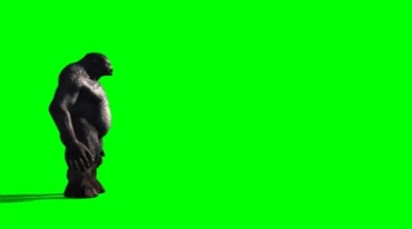 大金刚黑猩猩嚣张走路绿幕免抠像特效视频素材