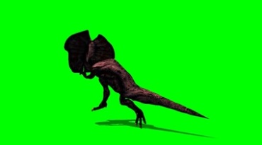 猛禽恐龙斗篷蜥伞状蜥蜴奔跑绿幕抠像特效视频素材