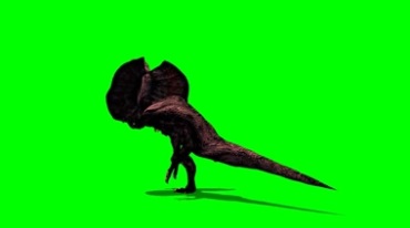 猛禽恐龙斗篷蜥伞状蜥蜴奔跑绿幕抠像特效视频素材