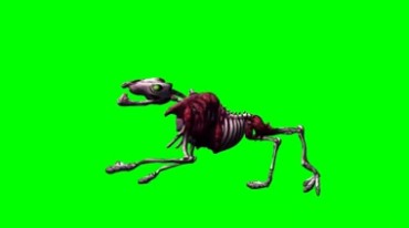 骷髅狗骨架奔跑绿幕免抠像影视特效视频素材