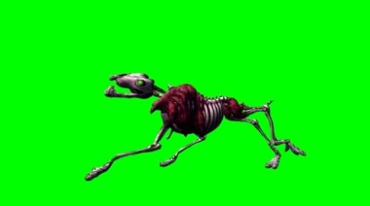 骷髅狗骨架奔跑绿幕免抠像影视特效视频素材