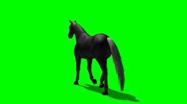黑马漫步背影绿幕免抠像影视特效视频素材