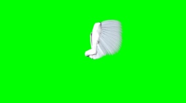 天使的翅膀绿幕免抠像影视特效视频素材