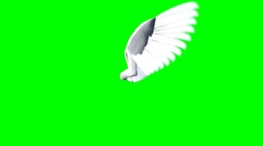 天使的翅膀绿幕免抠像影视特效视频素材