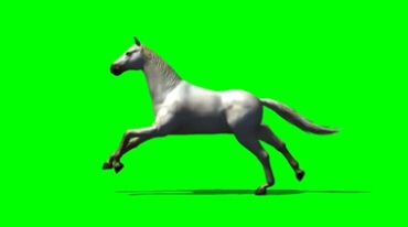 白马骏马奔跑绿幕免抠像影视特效视频素材