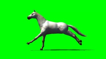 白马骏马奔跑绿幕免抠像影视特效视频素材