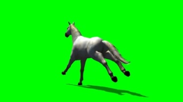 白色骏马白马奔跑绿幕免抠像影视特效视频素材