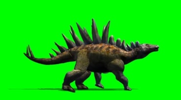 棘背龙恐龙剑龙行走绿幕免抠像影视特效视频素材