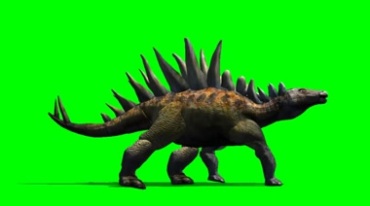 棘背龙恐龙剑龙行走绿幕免抠像影视特效视频素材
