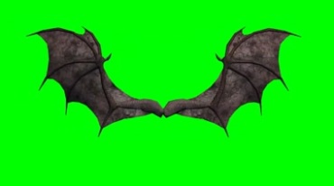 黑暗蝙蝠翅膀展开煽动绿幕免抠像影视特效视频素材